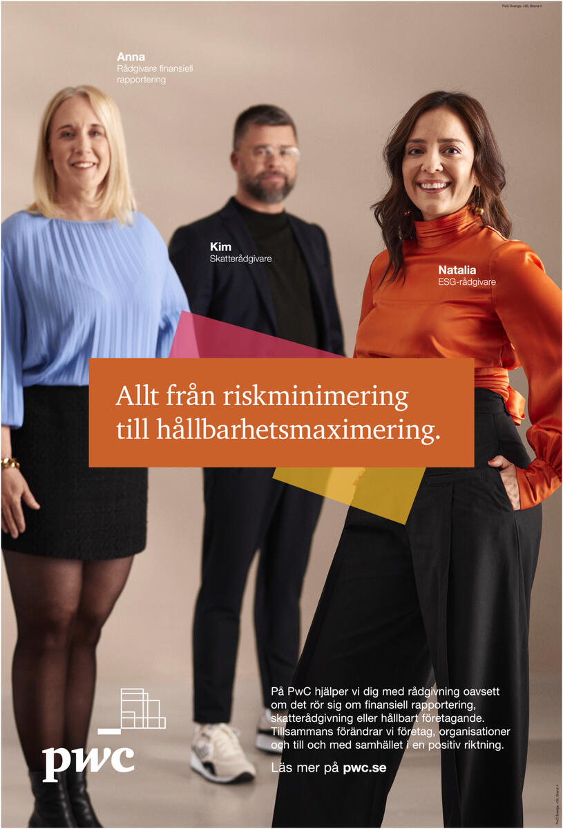 Allt från riskminimering till hållbarhetsmaximering.